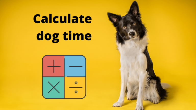 how-long-is-an-hour-in-dog-time-revealed