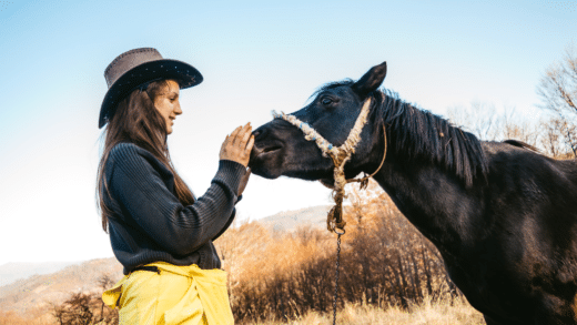 How to Tell if a Horse Likes You? — True Signs of Affection ...